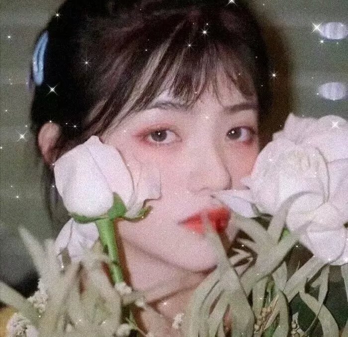 七彩难兄难弟
